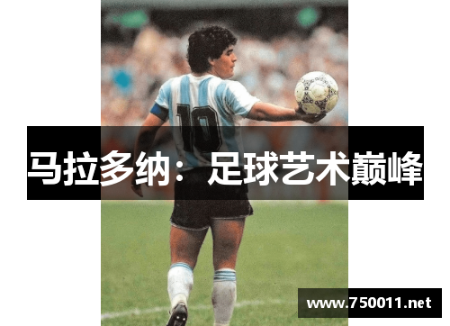 马拉多纳：足球艺术巅峰